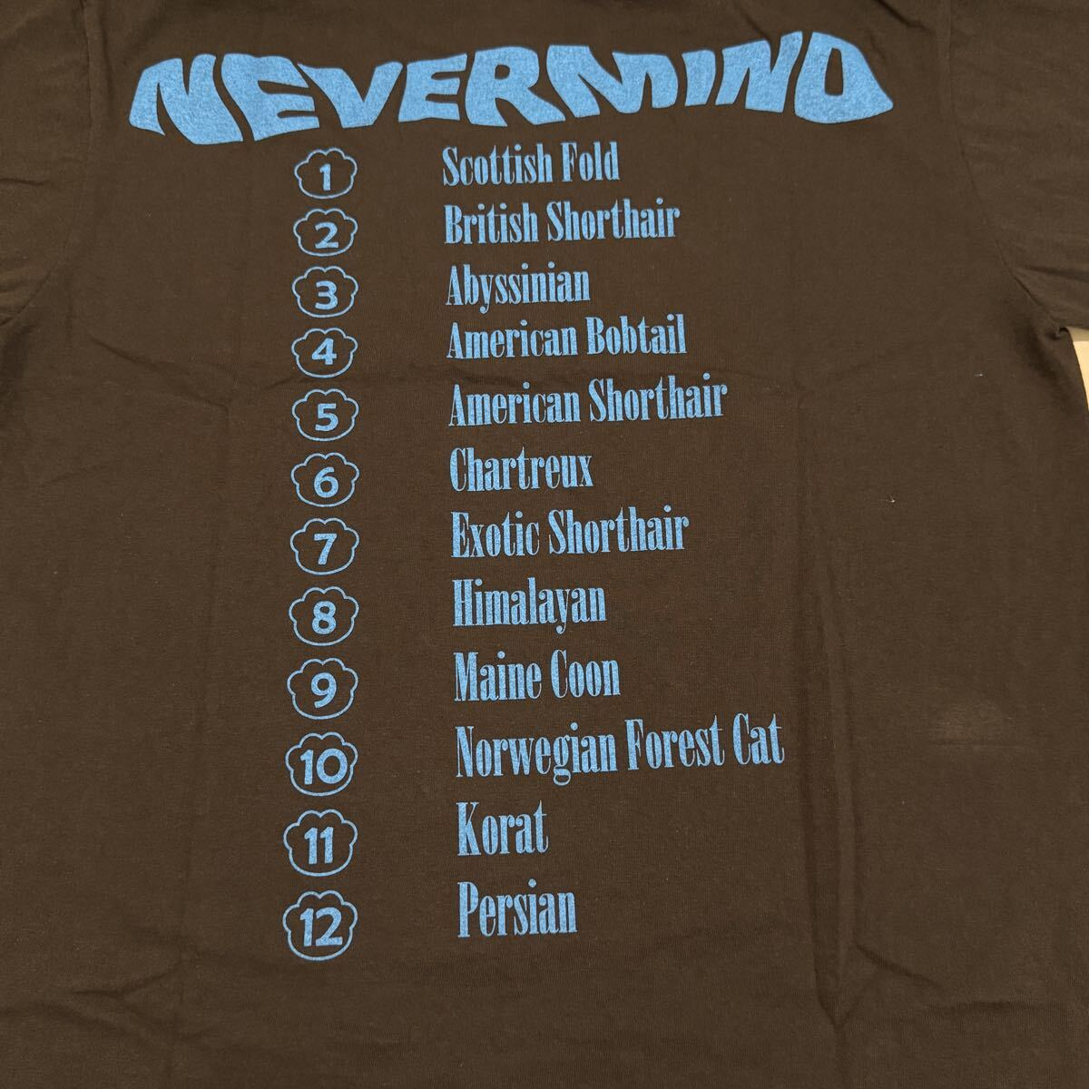 送料無料サイズL★即決セール★Hanes製★子猫×ニルヴァーナ★ネバーマインド★Tシャツ黒★猫好き★ネコ★NIRVANA★バンドT★ヘインズ_画像8