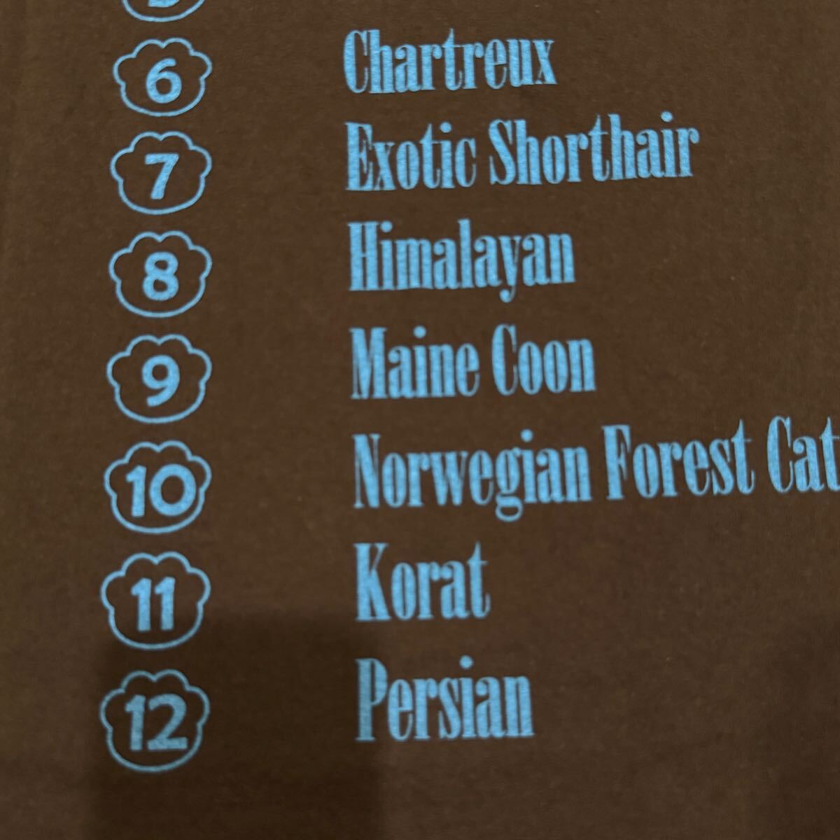 送料無料サイズL★即決セール★Hanes製★子猫×ニルヴァーナ★ネバーマインド★Tシャツ黒★猫好き★ネコ★NIRVANA★バンドT★ヘインズ_画像10