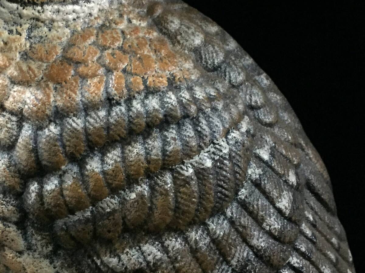 Z1507-100/ 金属製 ふくろう 梟 不苦労 置物 インテリア オブジェ レトロ ビンテージ_画像6