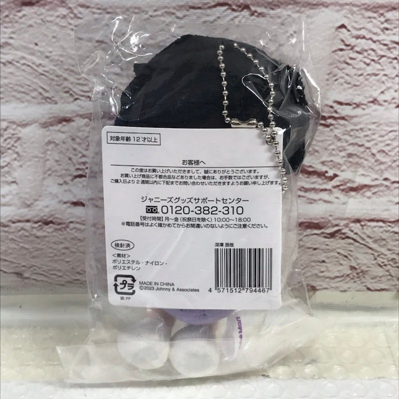 【未開封品】Snow Man 深澤辰哉 すのチルぶら下がりシリーズ ぬいぐるみ 1st DOME tour 2023 i DO ME 250828SK920140_画像2