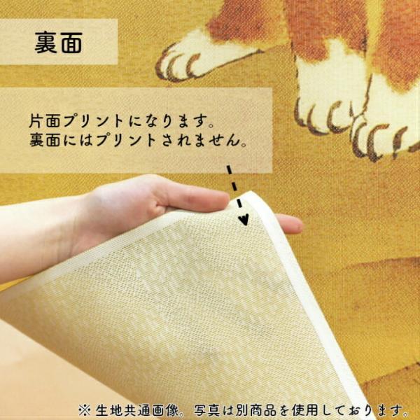 のれん 和風 暖簾 和柄 85cm幅 150cm丈 葛飾北斎 富士越龍図 富士山 浮世絵 日本画 間仕切りカーテン (受注生産 91312)_画像8