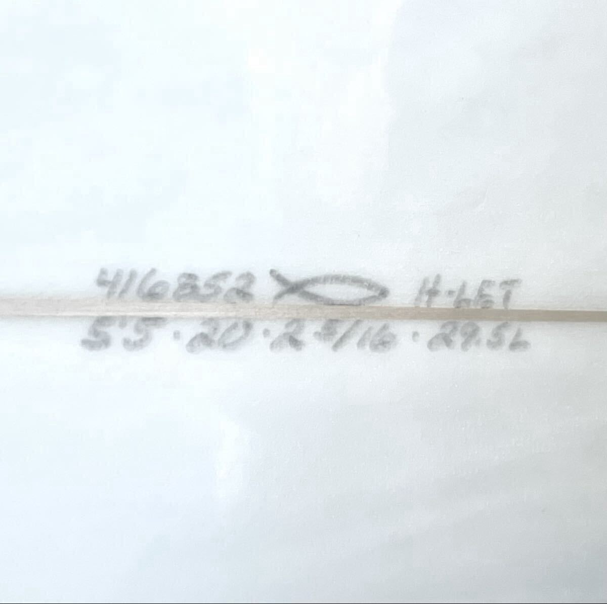 CHANNEL ISLANDS THE HOGLET チャネルアイランド　ホグレット_画像10