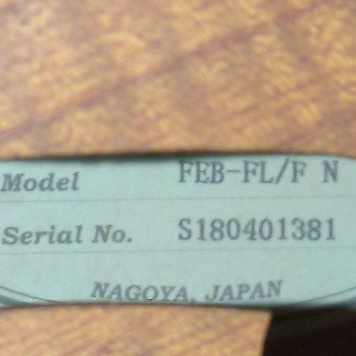 【B688-10】フレットレス アコースティック ベース Aria FEB-FL/FN serial s180401381 nagoya japan 生音 エレキ 【生産終了モデル】 _画像3
