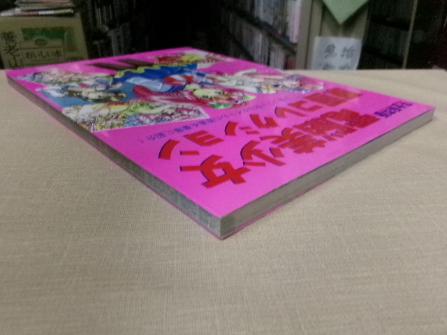 完全保存版　電脳美少女原画コレクション　コスミックインターナショナル_画像3