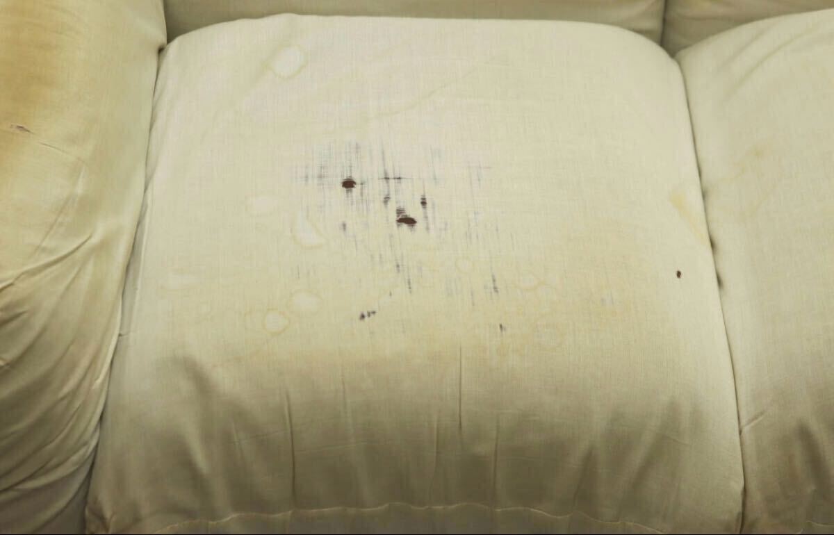 ◆arflex アルフレックス MARENCO マレンコ 2P セパレート ソファ イタリア モダン/カッシーナモルテーニB&Bヴィンテージ/PFT24144_画像8