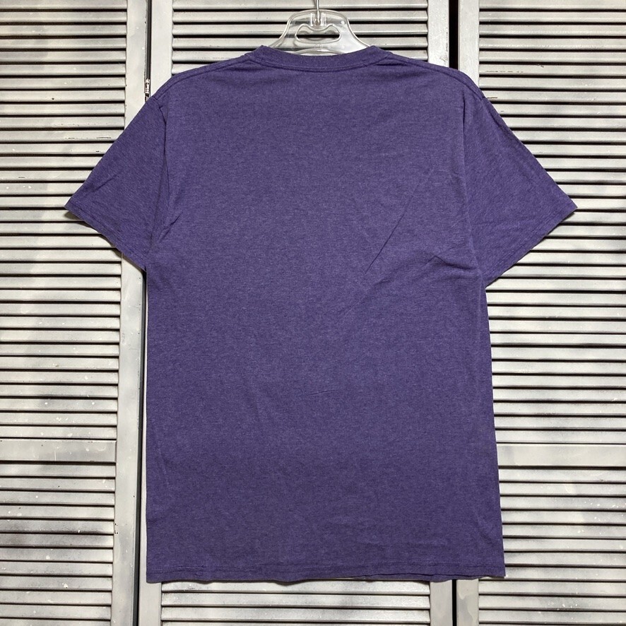 BMBI 1円スタート 紫 アニメ Tシャツ 湘南純愛組 漫画 キャラ レトロ 昭和 90s 00s ビンテージ アメリカ 古着 ベール 卸 仕入れ kg_画像7