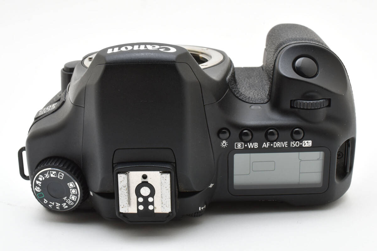 * Schott число : 3542 раз * прекрасный товар * CANON Canon EOS 40D корпус SS230 #802