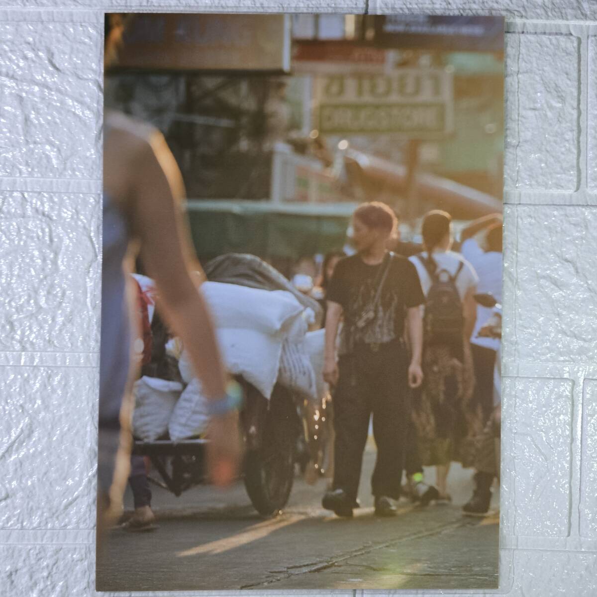  сейчас рисовое поле прекрасный Sakura ( пояснительная записка самый нижеследующий необходимо обязательно чтение!!) B5[ местного производства плёнка 150μ ламинирование обработка ] фотоальбом [LAST SHOT] купальный костюм журнал порез .[ bikini model ]i16