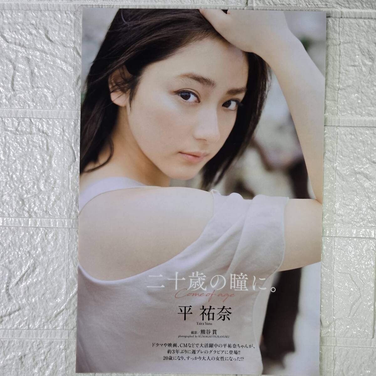  flat ..B5[ местного производства плёнка 150μ ламинирование обработка ] Play Boy 2019NO.35 купальный костюм журнал порез .[ bikini model ]