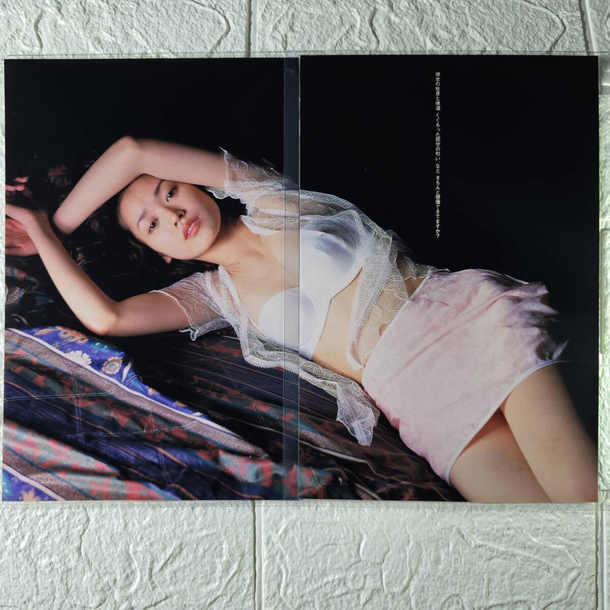  маленький река прямой прекрасный B5[ местного производства плёнка 150μ ламинирование обработка ] Play Boy 1999NO.29 купальный костюм журнал порез .[ bikini model ]