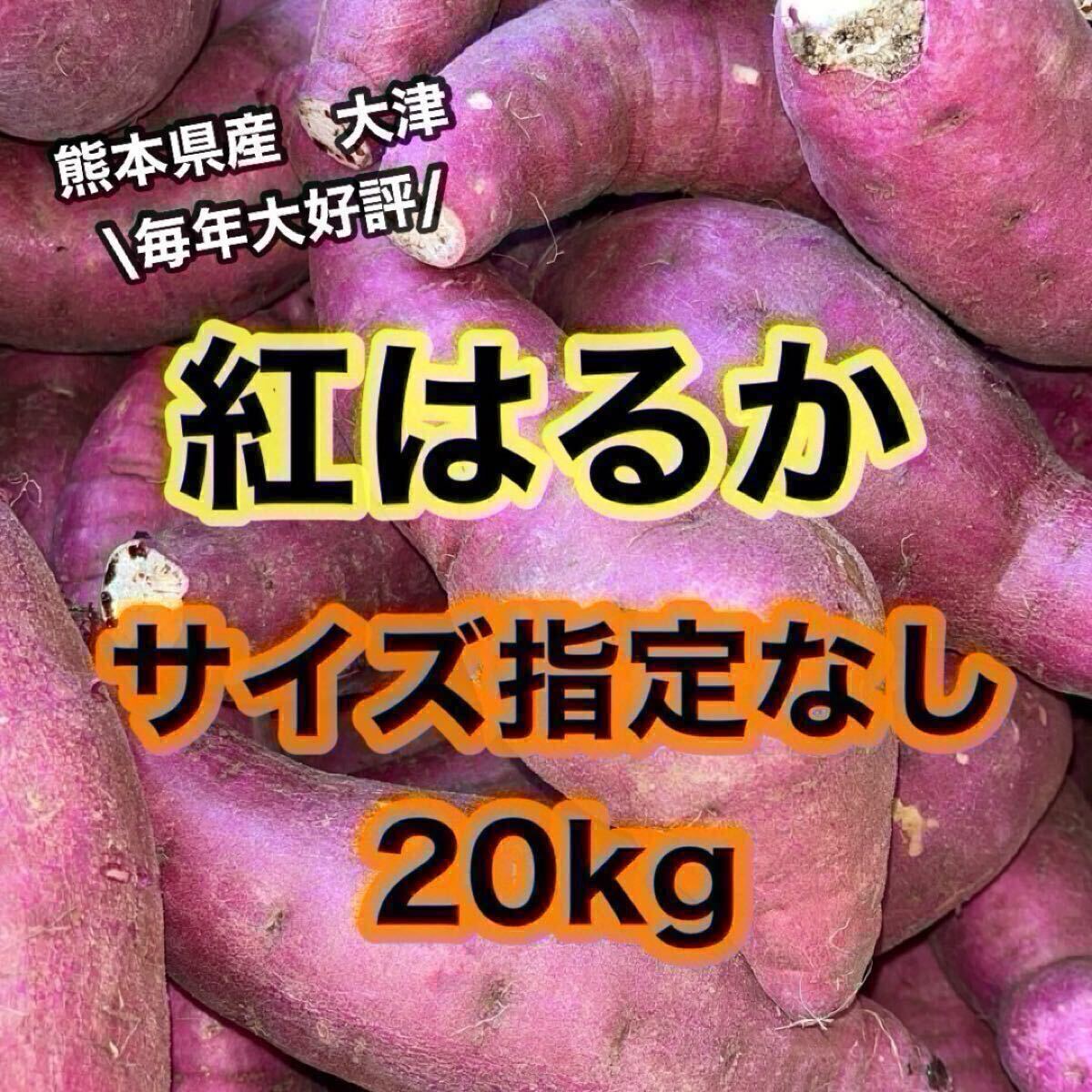 熊本県産　大津　紅はるか　サイズ指定無し　20kg(送料無料) 