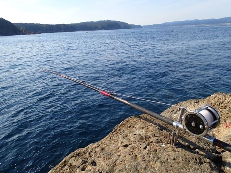  атомный ползун ke100 номер 200m основной катушка шт нейлон 9 .alamo Logo 