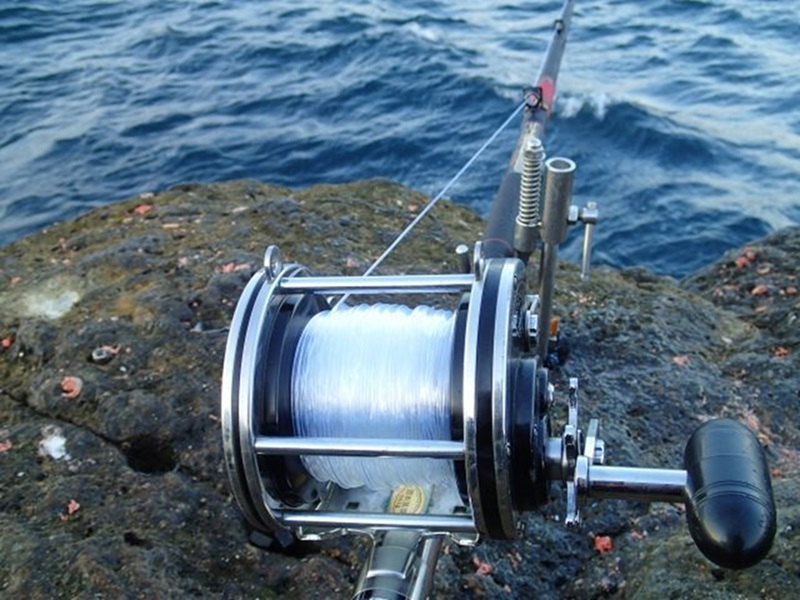  атомный ползун ke100 номер 200m основной катушка шт нейлон 9 .alamo Logo 