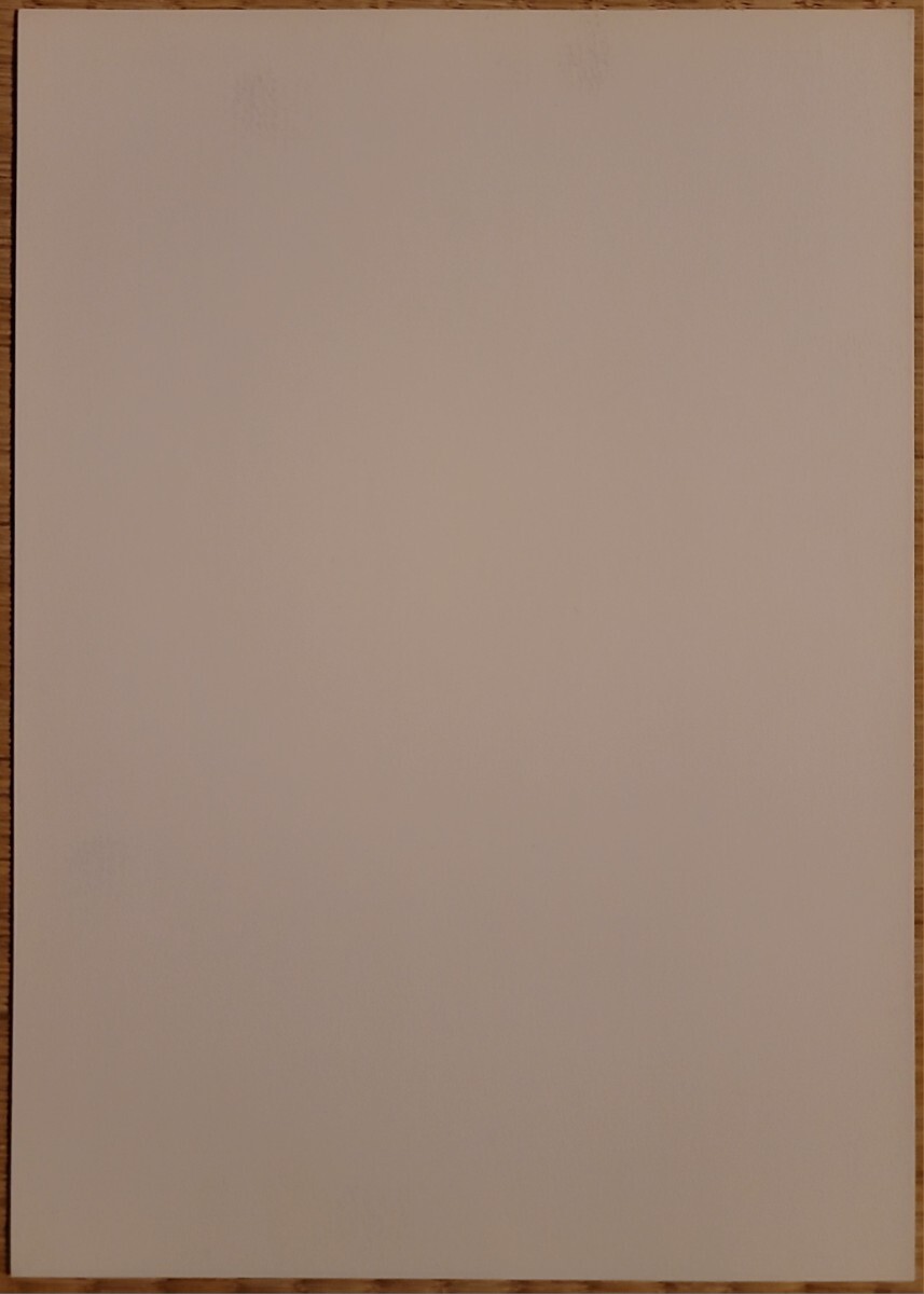 ワイルドファング インストカード アーケードゲーム 当時物 テクモ TECMO_画像2