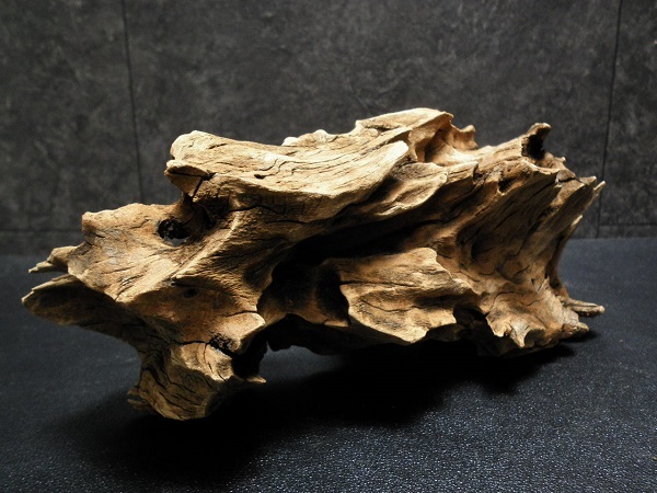 ◆流木 3本セット アク抜き、沈水確認済み アクアリウム ホーンウッド マングローブ セット 水槽 ◆_画像2