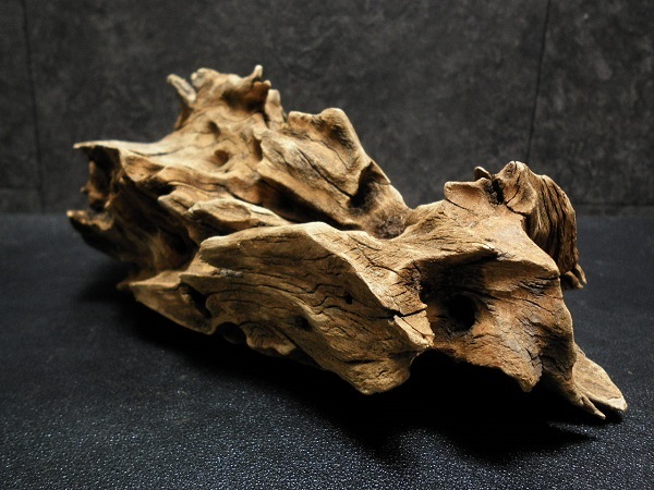 ◆流木 3本セット アク抜き、沈水確認済み アクアリウム ホーンウッド マングローブ セット 水槽 ◆_画像3