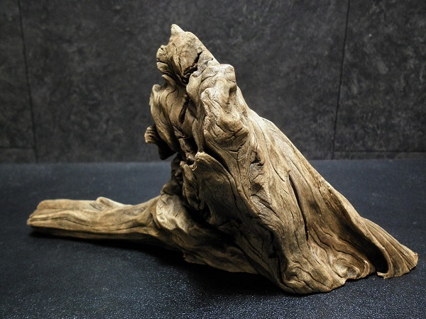 ◆流木 3本セット アク抜き、沈水確認済み アクアリウム ホーンウッド マングローブ セット 水槽 ◆_画像4