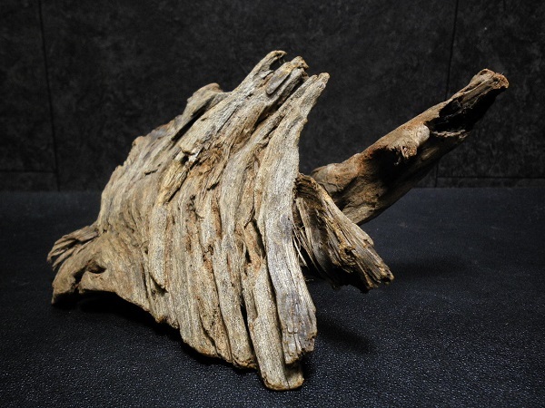 ◆流木 3本セット アク抜き、沈水確認済み アクアリウム ホーンウッド マングローブ セット 水槽 ◆_画像6