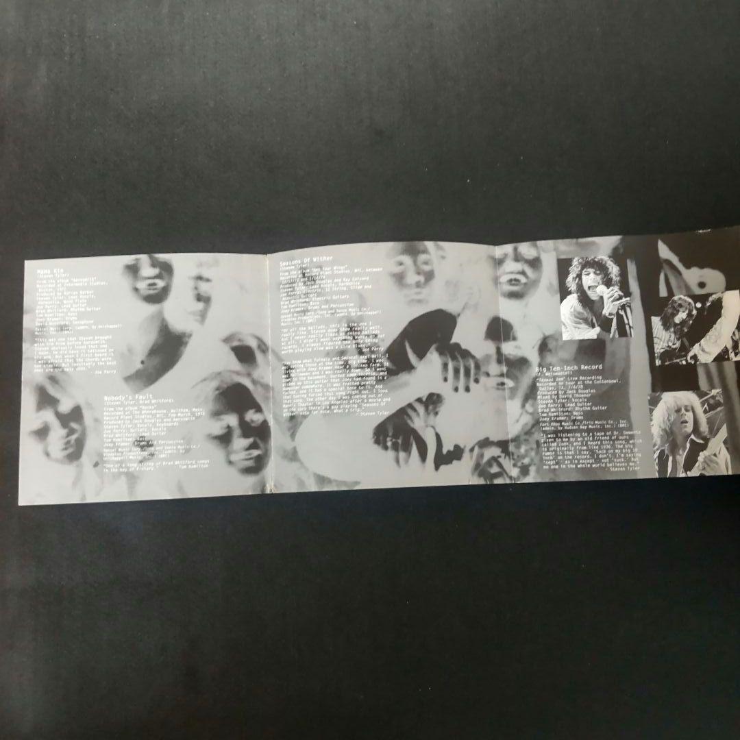 【国内版CD】 エアロスミス パンドラズ・トイズ / Aerosmith_画像8