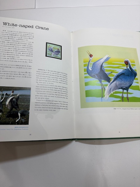 ●H7-10-111 記念切手 /水辺の鳥 切手アルバム/ 未使用切手 16枚付き オオジシキ カツオドリ ウミネコ カイツブリ カワセミ アマサギ 他_画像4