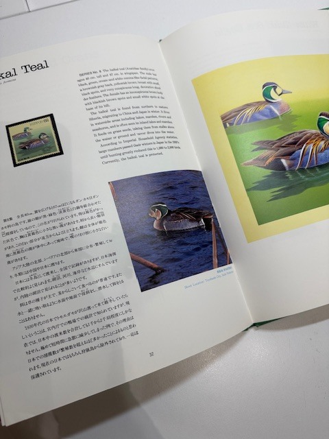 ●H7-10-111 記念切手 /水辺の鳥 切手アルバム/ 未使用切手 16枚付き オオジシキ カツオドリ ウミネコ カイツブリ カワセミ アマサギ 他_画像5
