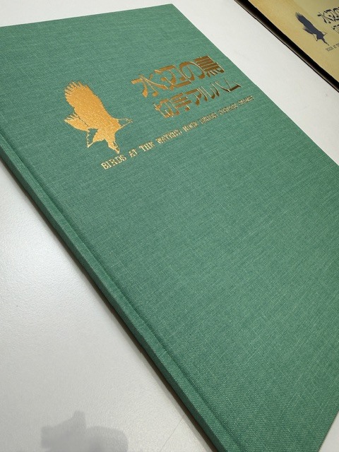 ●H7-10-111 記念切手 /水辺の鳥 切手アルバム/ 未使用切手 16枚付き オオジシキ カツオドリ ウミネコ カイツブリ カワセミ アマサギ 他_画像7