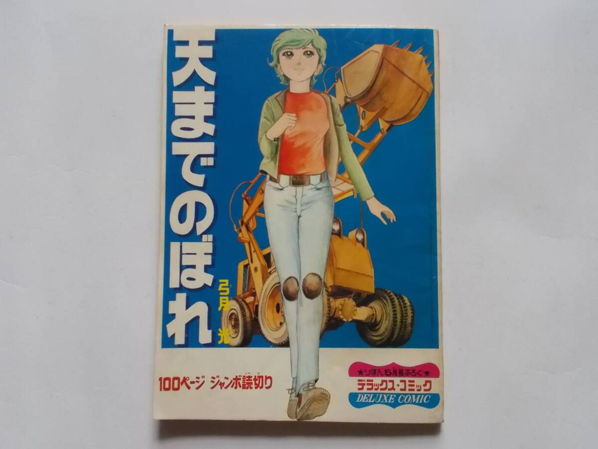 弓月光●天までのぼれ●りぼんデラックスコミック_画像1