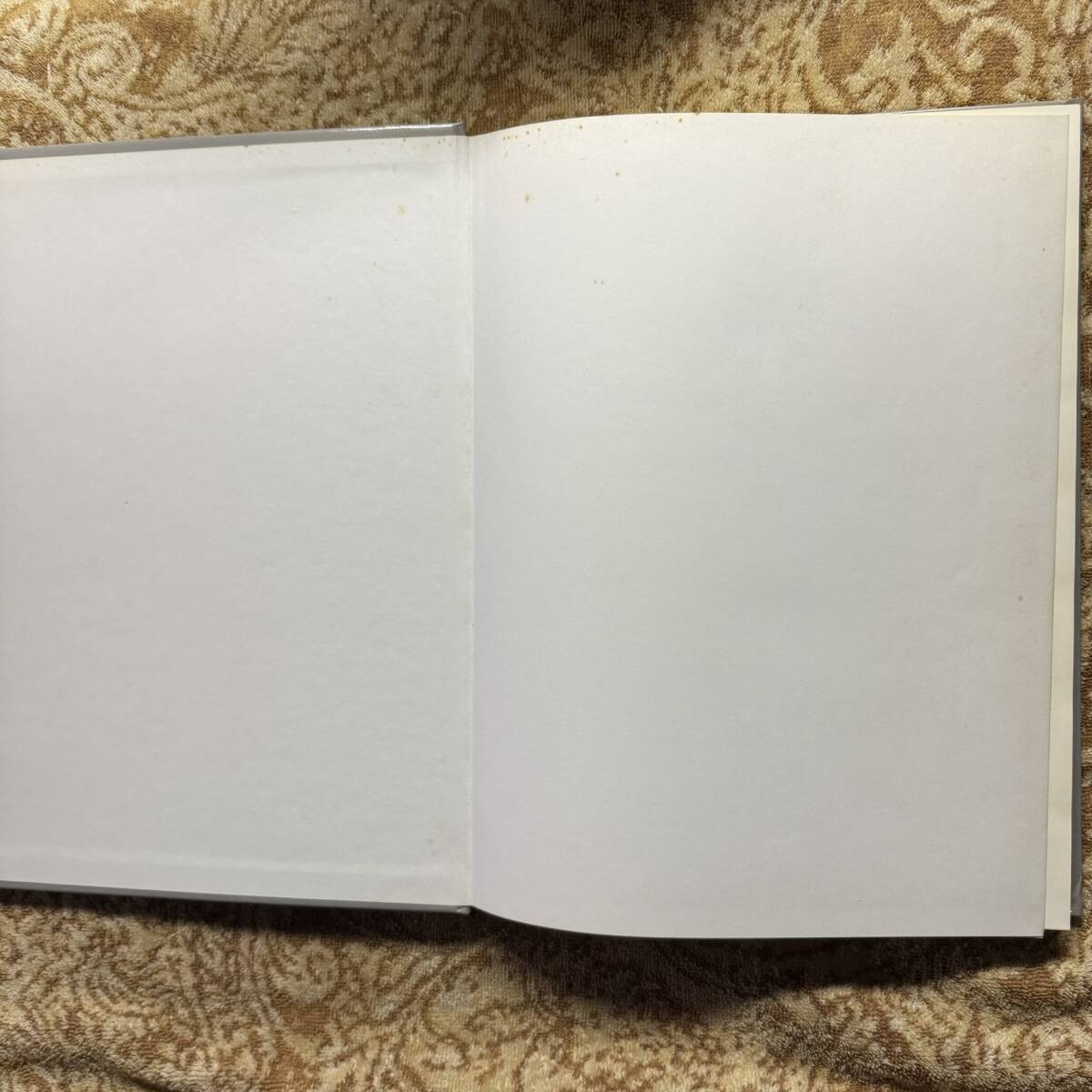 「Field Uniforms of German Army Panzer Forces in World War 2」【Robert J. Edwards, Michael H. Pruett　ドイツ軍　戦車兵】_画像6