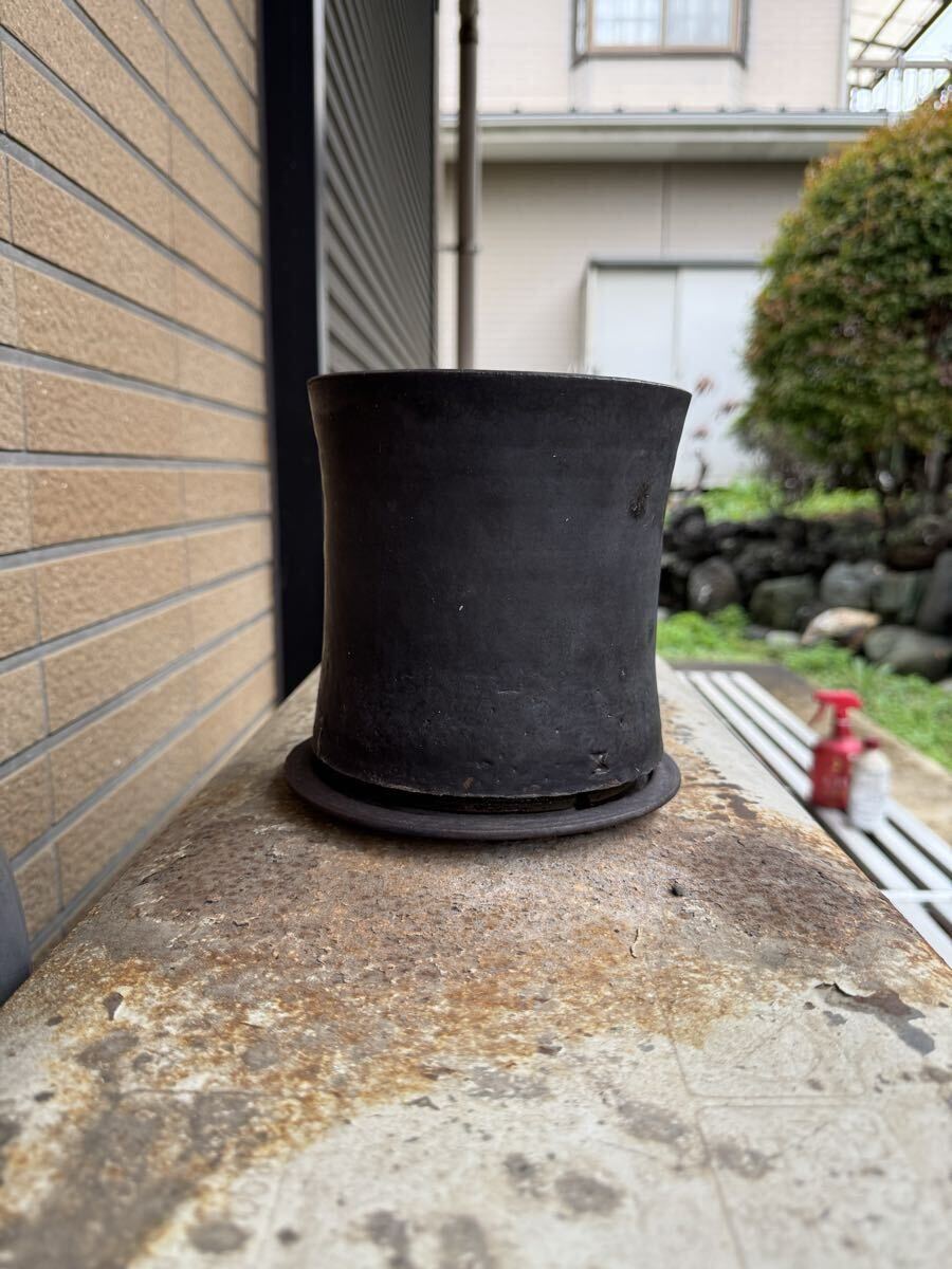 Hagakure TOKY 植木鉢 陶器鉢/パキプス グラキリス アガベ invisible inkraw life factory earnest hearts y鉢 Konect fang spicygem_画像3
