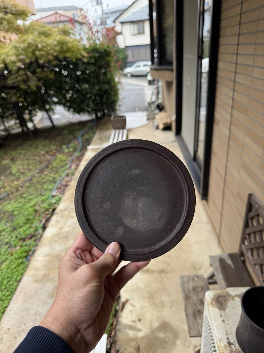 Hagakure TOKY 植木鉢 陶器鉢/パキプス グラキリス アガベ invisible inkraw life factory earnest hearts y鉢 Konect fang spicygem_画像10