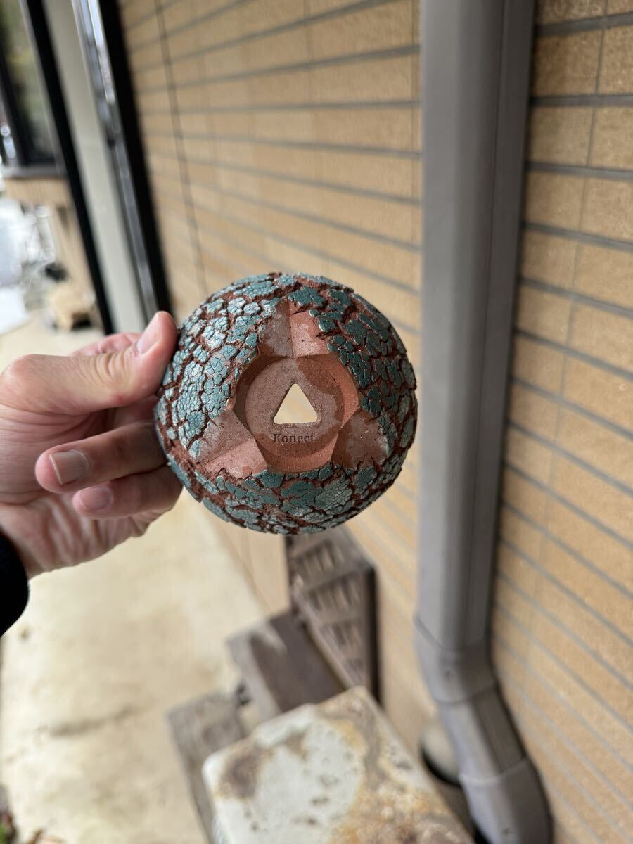 Konect fang 植木鉢 陶器鉢/パキプス グラキリス アガベ invisible inkraw life factory earnest hearts y鉢 spicygem TOKY_画像6