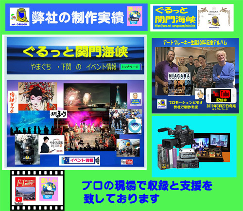 思い出ビデオ　BD-1N ☆ビデオ素材10本を　まるごと（未編集）ダビングでDVDデイスク10本に保存　 BD8-004