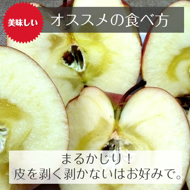 りんご 蜜入りも サンふじ 訳ありリンゴ 林檎 3kg 青森産 葉とらず ふじ フジ 富士 冨士 産地直送_画像2