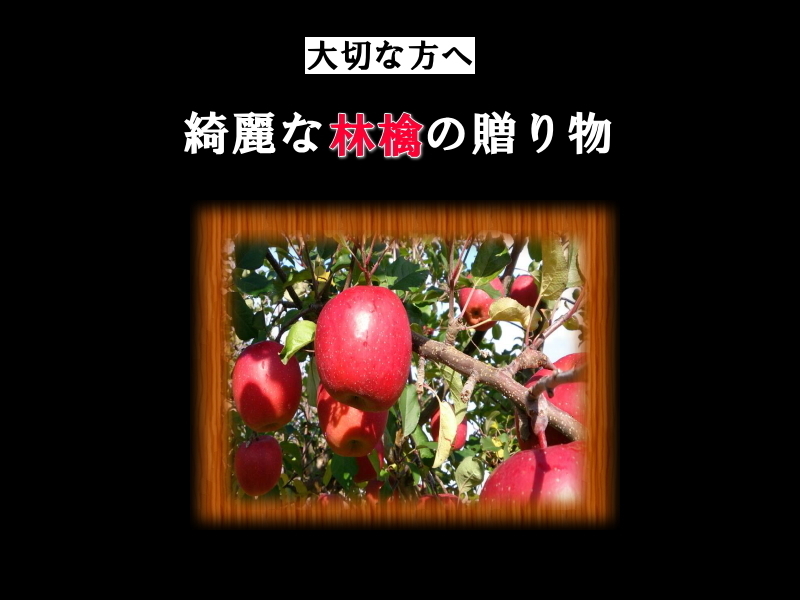 贈答用 りんご 蜜入りも サンふじ ギフト リンゴ 林檎 3kg 青森産 葉とらず フジ 富士 冨士 産地直送_画像2