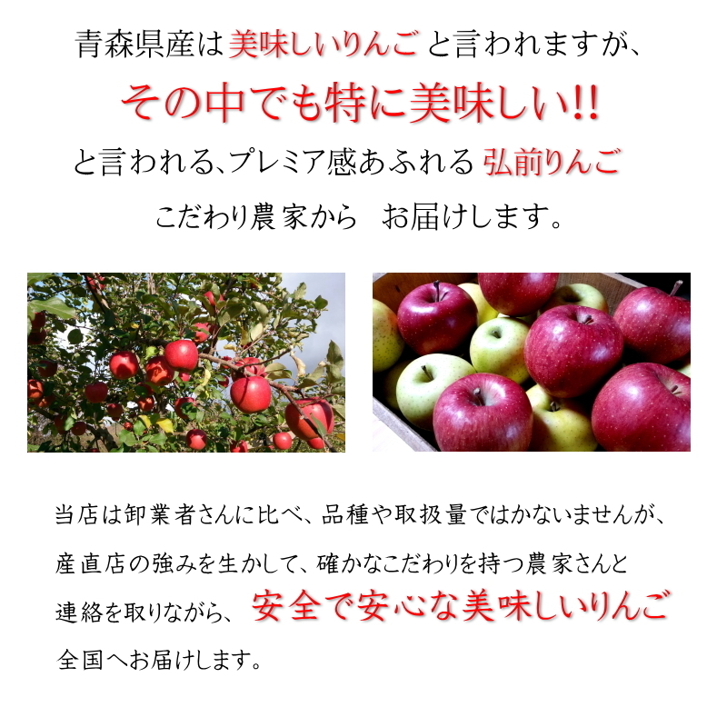 贈答用 りんご 蜜入りも サンふじ ギフト リンゴ 林檎 3kg 青森産 葉とらず フジ 富士 冨士 産地直送_画像7