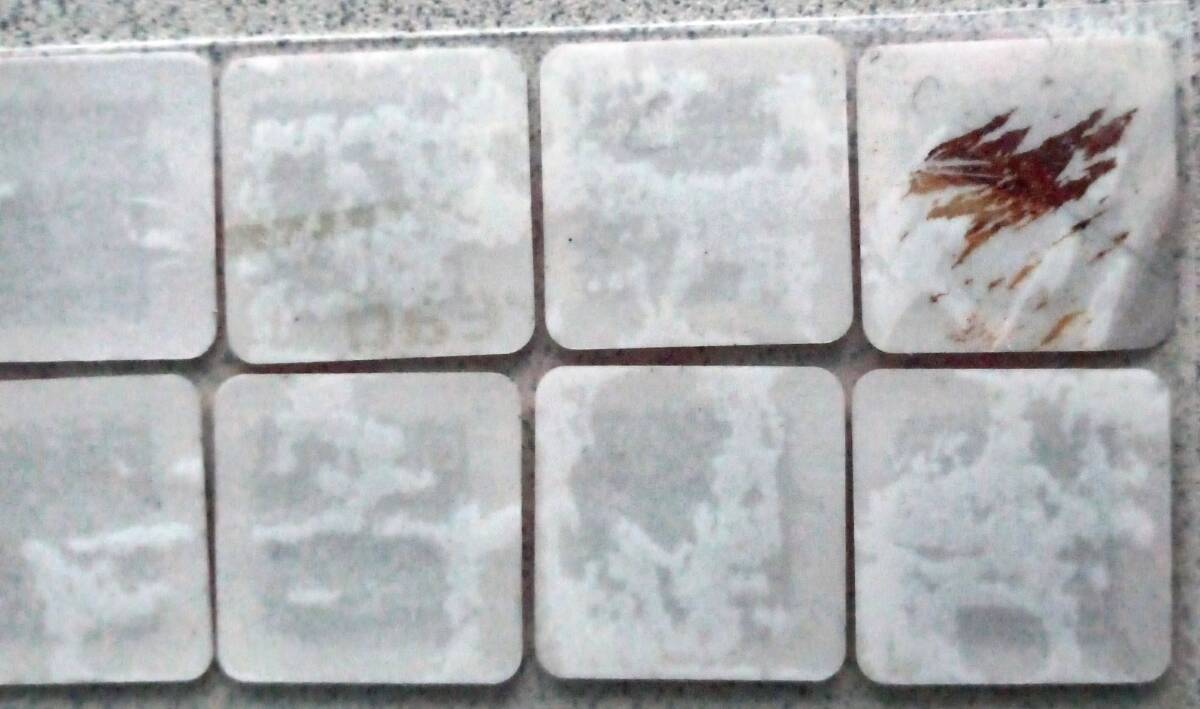 懸賞応募『ヤマザキ2025秋のわくわくプレゼント☆東京ディズニーリゾート ペア パークチケットなどが当たる!』20点分_画像2