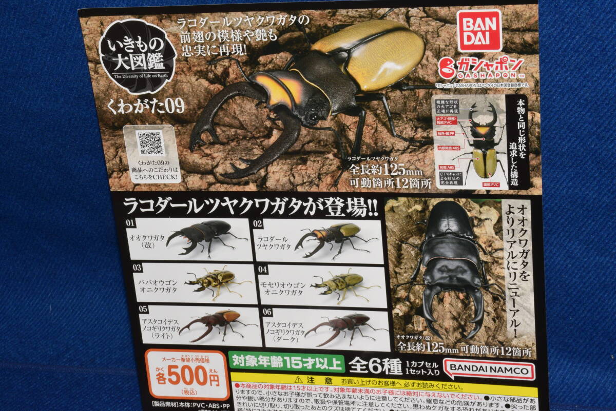 100803/未使用/新品/いきもの大図鑑/くわがた09/全6種セット/ガチャ/バンダイ/BANDAI/クワガタ/_画像3