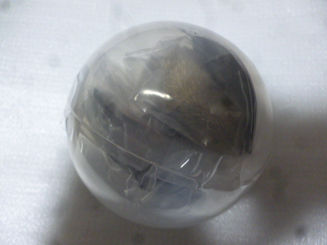 未開封　★ いきもの大図鑑 ディスプレイモデルコレクション 野生のイヌ科動物 狸_画像1