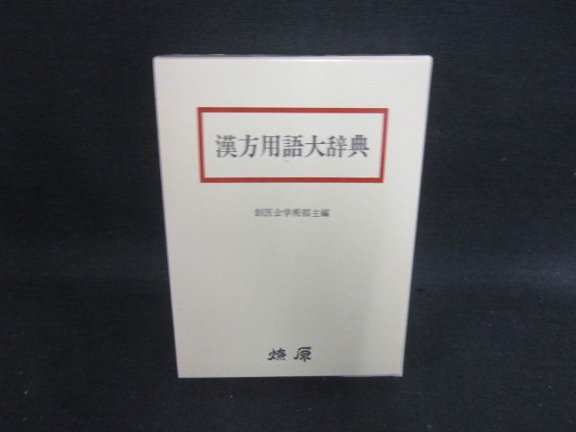 漢方用語大辞典　/CDZH_画像1