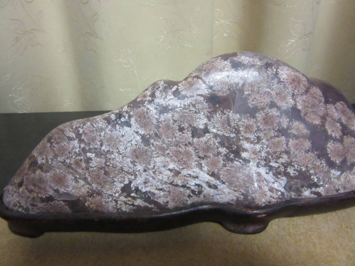 白山紋石　磨き飾り石　美石　和洋の飾り品　インテリア_画像3