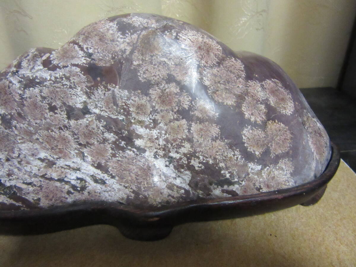 白山紋石　磨き飾り石　美石　和洋の飾り品　インテリア_画像9