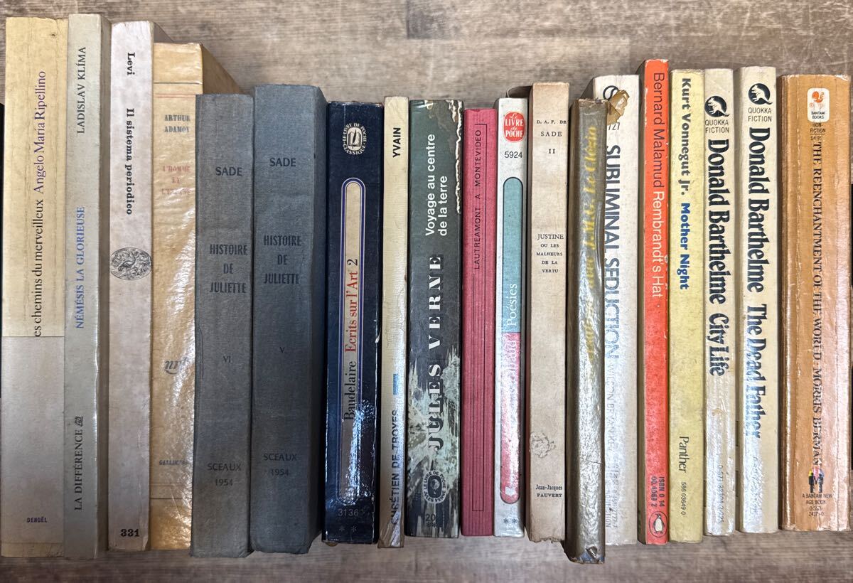 a1008-39.洋書 フランス語 英語 書籍 まとめ 専門書 研究 資料 ディスプレイ display 装飾 小物_画像1