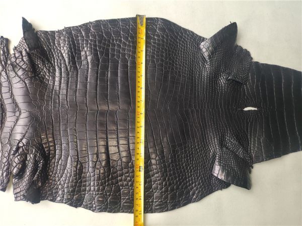 ワニ革 クロコダイル 38cm 生地 腹部 レザークラフト 天然素材 材料 原皮 ハンドメイド 手作り 手細工 鞄 バッグ用 _画像2