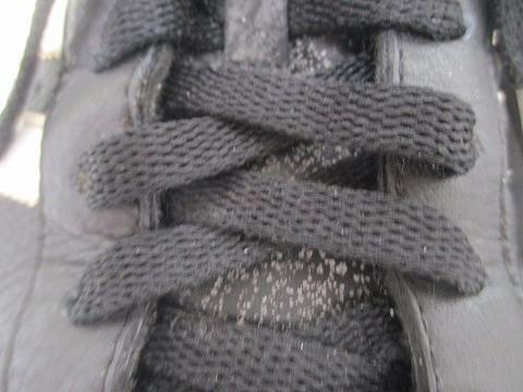 中古 アディダス adidas 562137 F76599 664819 等 スニーカー 3点 27.5 28cm メンズ_画像9