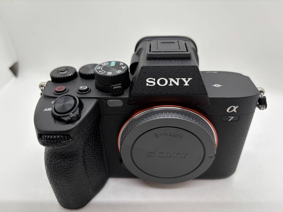 【おまけつき！ショット数: 11,026枚】ソニー SONY α7 Ⅳ Peak Design アンカー リンクスペア2つき　（定価：383,900円）　_画像3