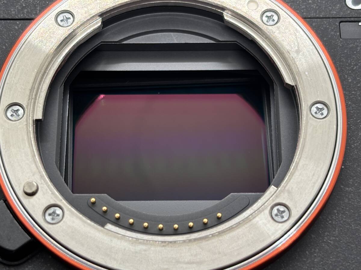 【おまけつき！ショット数: 11,026枚】ソニー SONY α7 Ⅳ Peak Design アンカー リンクスペア2つき　（定価：383,900円）　_画像7