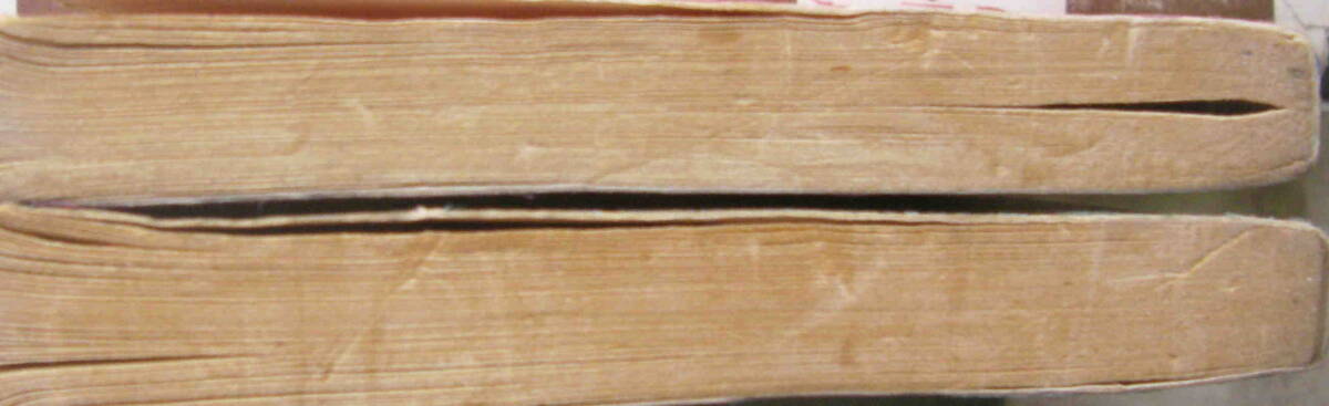 英和対訳・谷川俊太郎★「わかってるの？チャーリーブラウン＆ 売れっ子スヌーピ2冊セット」ツルピーナツブック_画像4