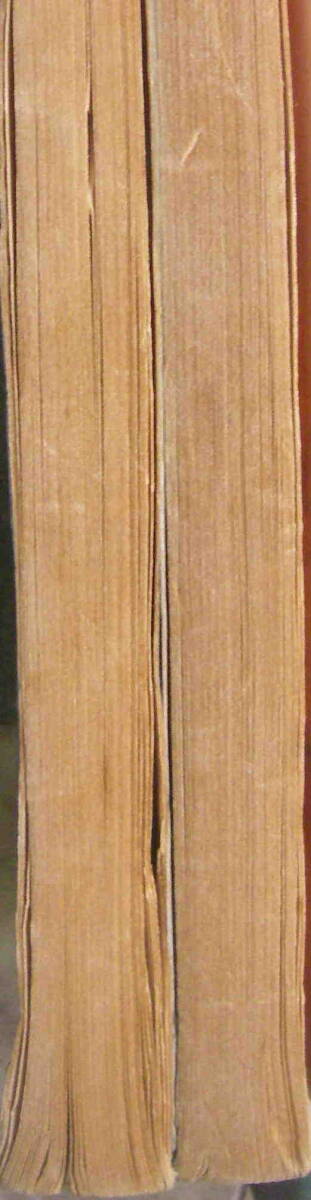 英和対訳・谷川俊太郎★「わかってるの？チャーリーブラウン＆ 売れっ子スヌーピ2冊セット」ツルピーナツブック_画像2