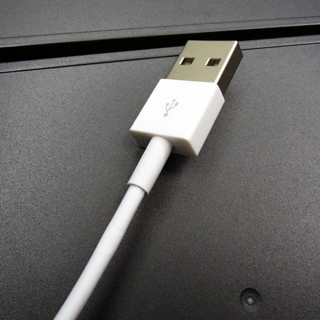 旧型 iPhone iPad iPod 充電器 充電 ケーブル USB 白 1ｍの画像4