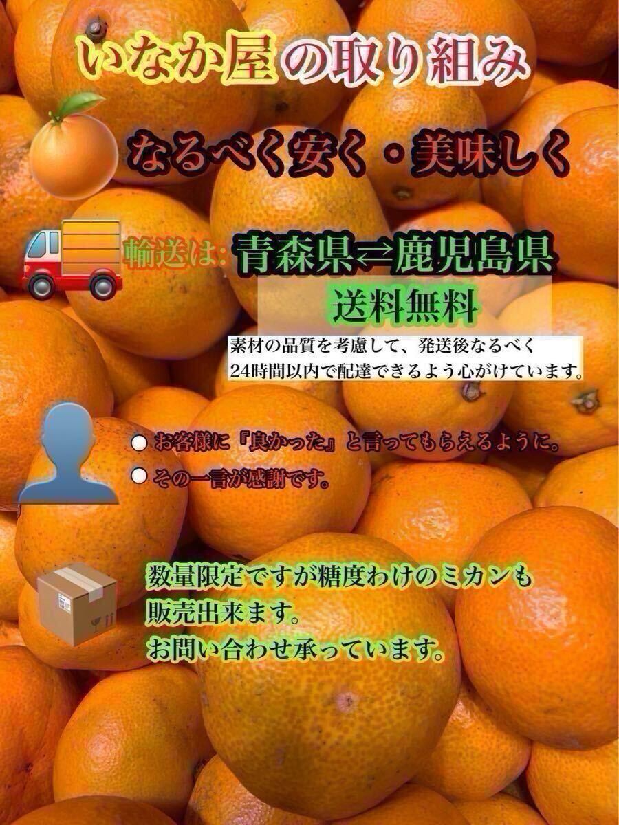 3点 どうせ買うなら いなか屋の みかん 10kg 傷あり b品 早い者勝ち 数量限定 おすすめみかん 和歌山県産 有田  柑橘 果物_画像2